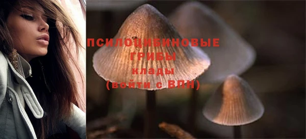 метадон Баксан