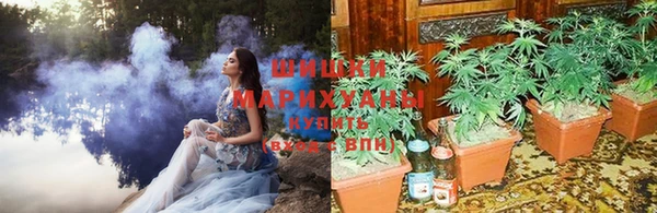 дживик Балабаново