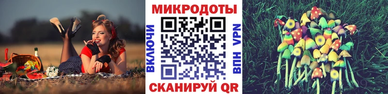 kraken онион  Гай  Псилоцибиновые грибы мухоморы 